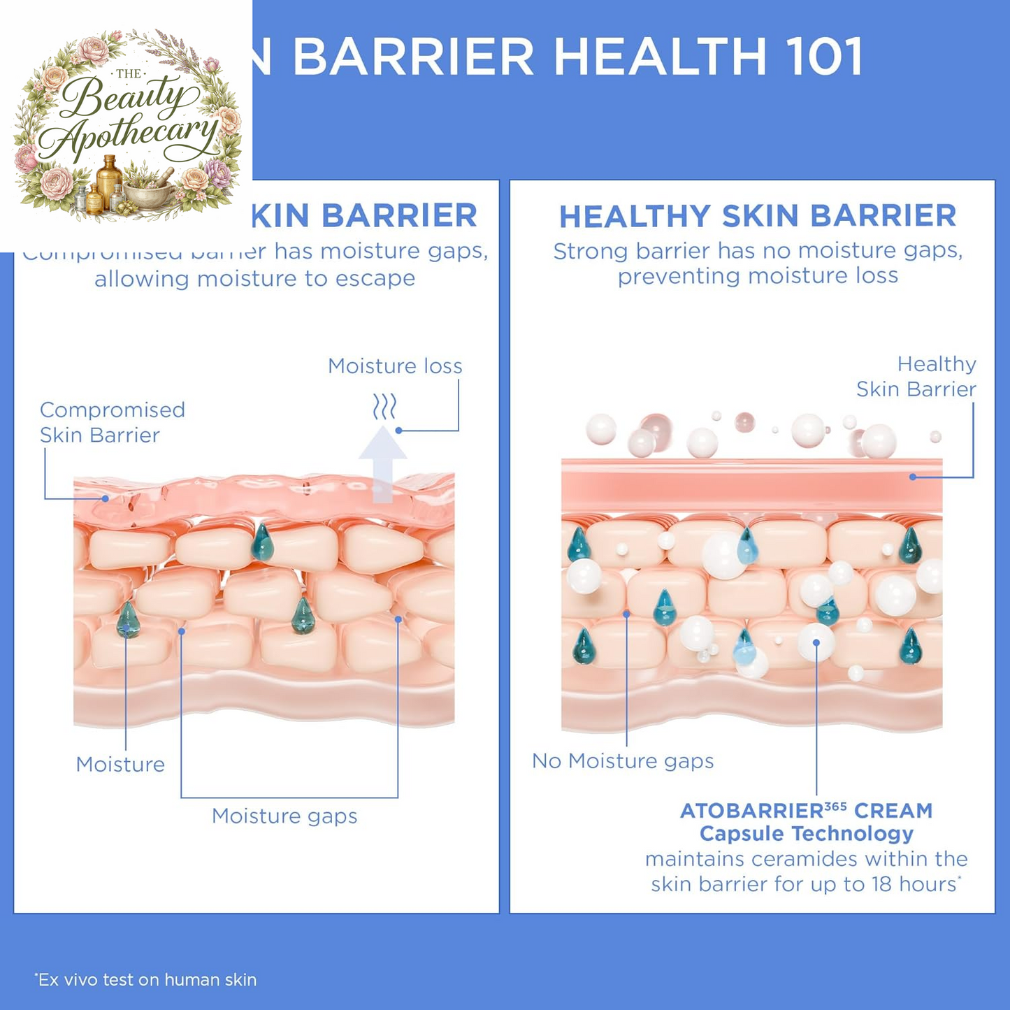 ATOBARRIER365 Cream with Ceramides, Korean Face Moisturizer for Barrier Repair | 120H Lasting Hydration, Ceramide Capsules, Dry & Sensitive Skin, Non-Comedogenic, 80 Ml / 2.70 Fl.Oz.